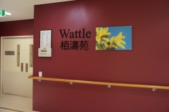 wattle_01